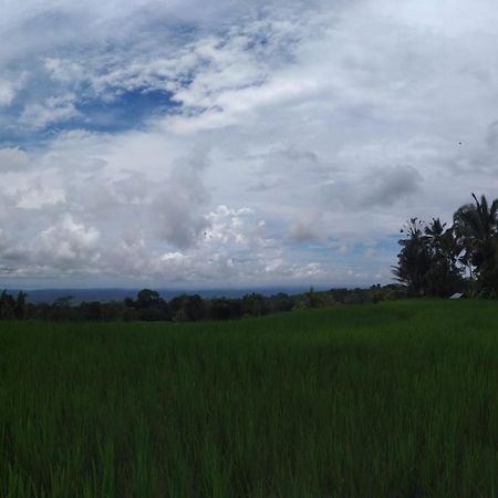 Tegal Jero Homestay Jatiluwih Eksteriør bilde