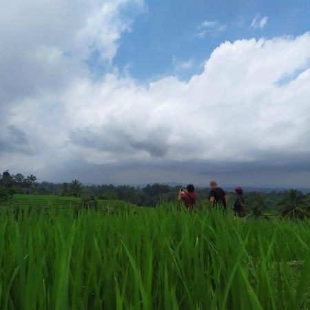 Tegal Jero Homestay Jatiluwih Eksteriør bilde