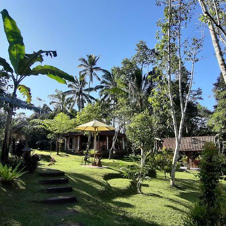 Tegal Jero Homestay Jatiluwih Eksteriør bilde