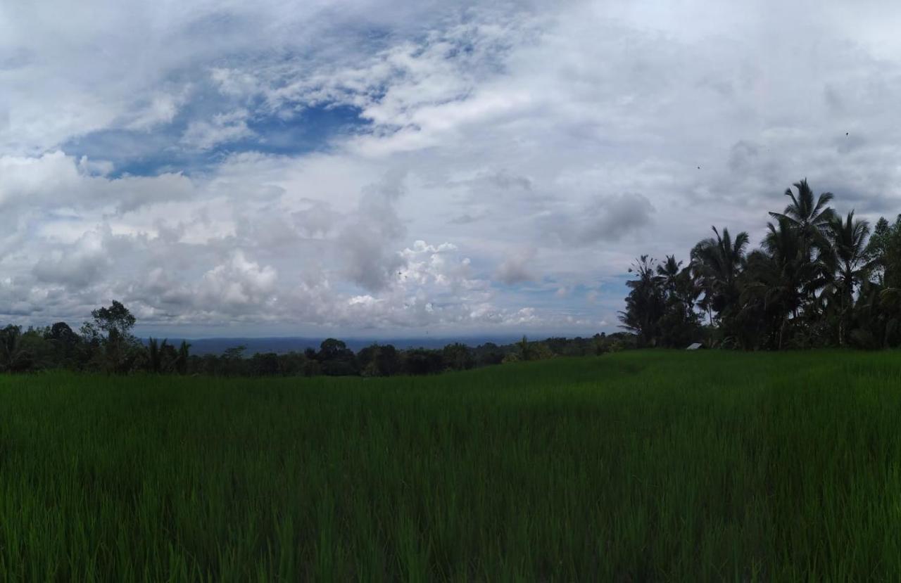 Tegal Jero Homestay Jatiluwih Eksteriør bilde