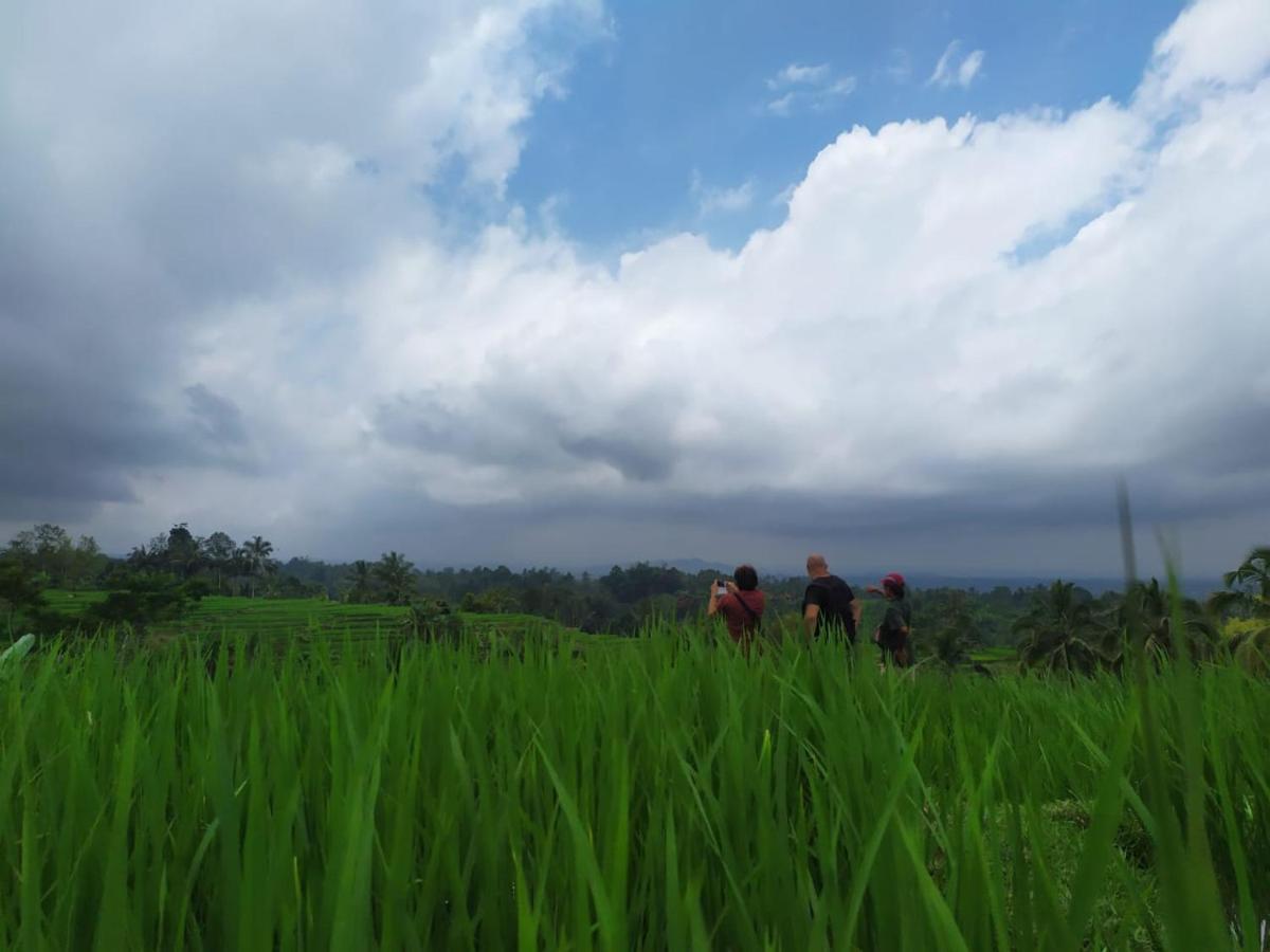 Tegal Jero Homestay Jatiluwih Eksteriør bilde