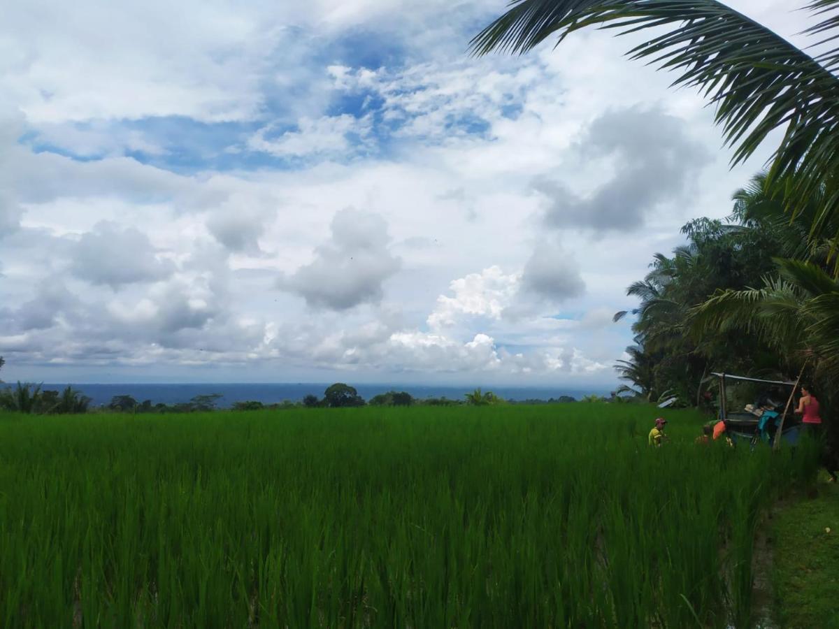 Tegal Jero Homestay Jatiluwih Eksteriør bilde