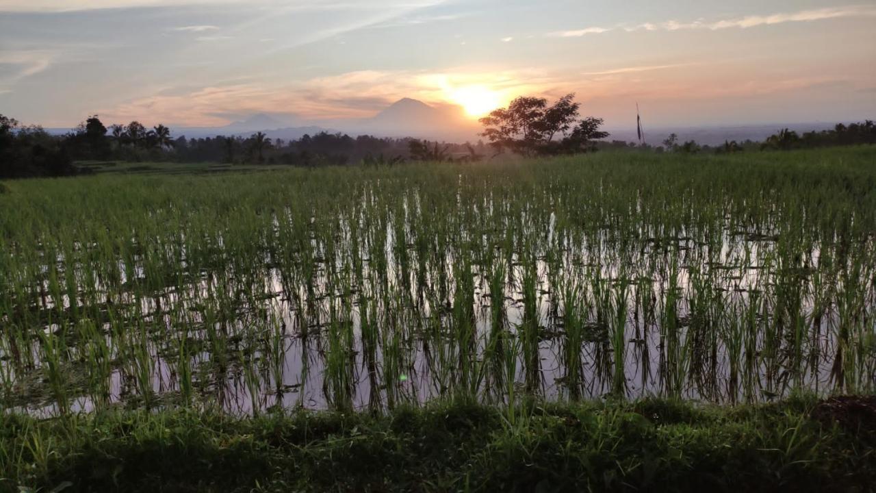 Tegal Jero Homestay Jatiluwih Eksteriør bilde