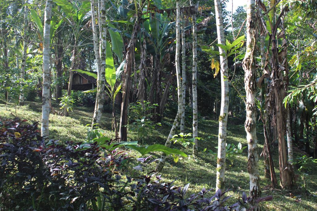 Tegal Jero Homestay Jatiluwih Eksteriør bilde