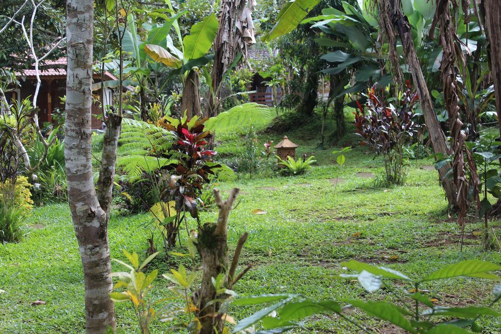 Tegal Jero Homestay Jatiluwih Eksteriør bilde
