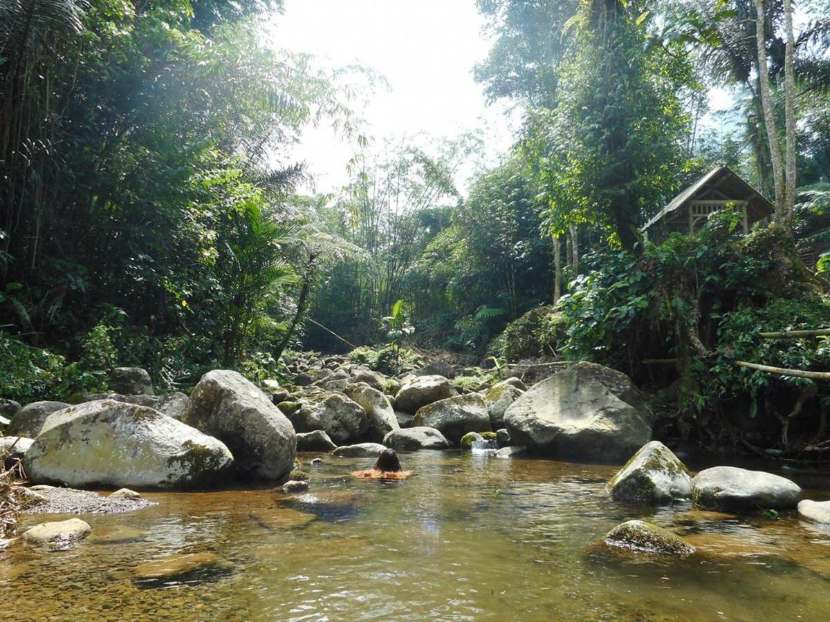 Tegal Jero Homestay Jatiluwih Eksteriør bilde