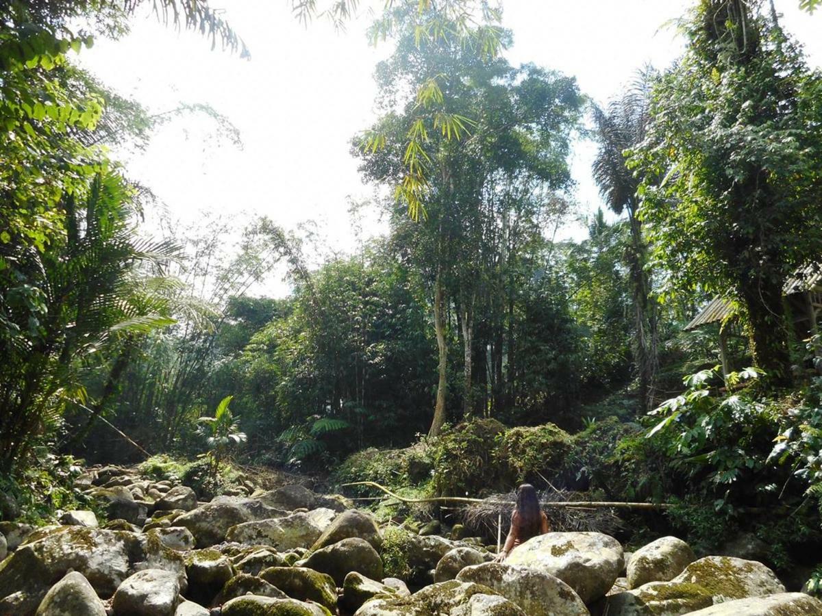 Tegal Jero Homestay Jatiluwih Eksteriør bilde